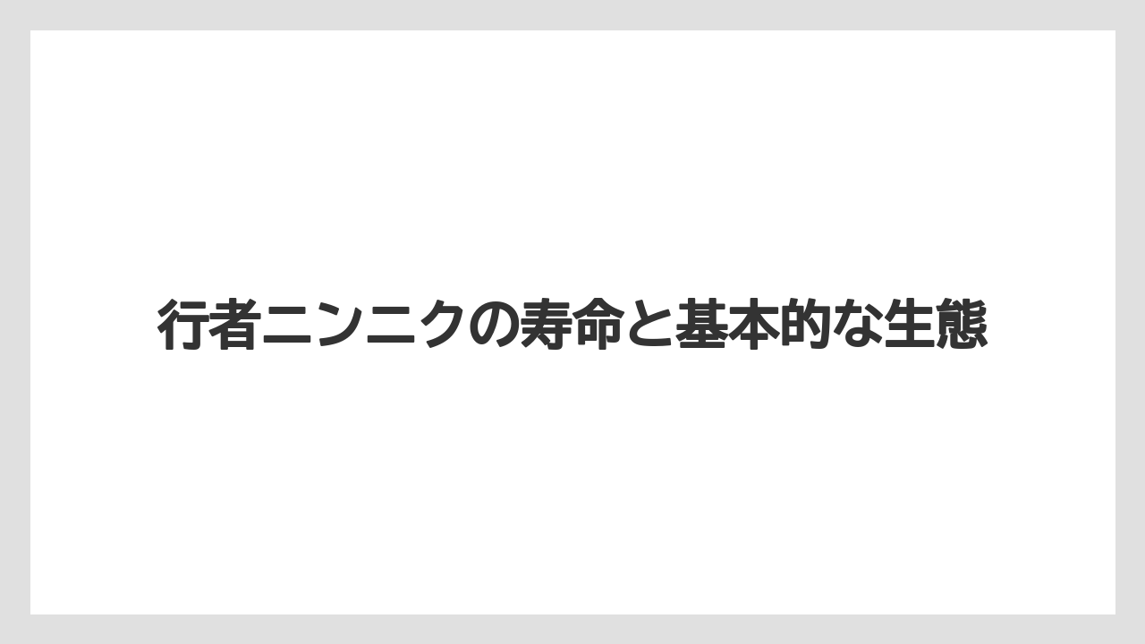 行者ニンニクの寿命と基本的な生態