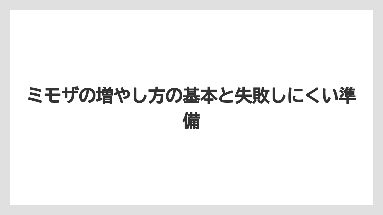ミモザの増やし方の基本と失敗しにくい準備