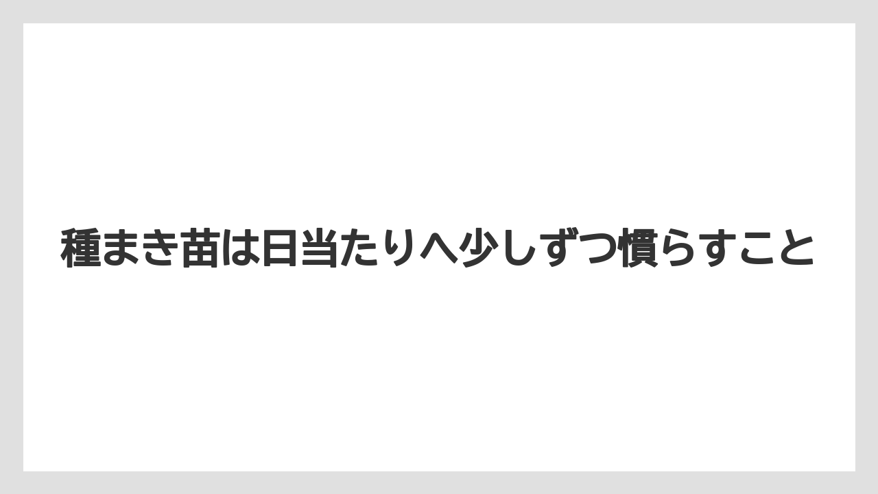 【バラ】【ミモザ】【栽培】【肥料】種まき苗は日当たりへ少しずつ慣らすこと