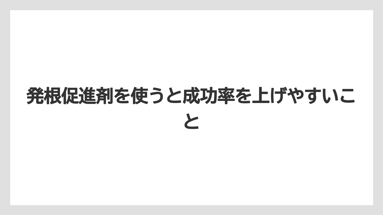 【バラ】【ミモザ】【栽培】【肥料】発根促進剤を使うと成功率を上げやすいこと