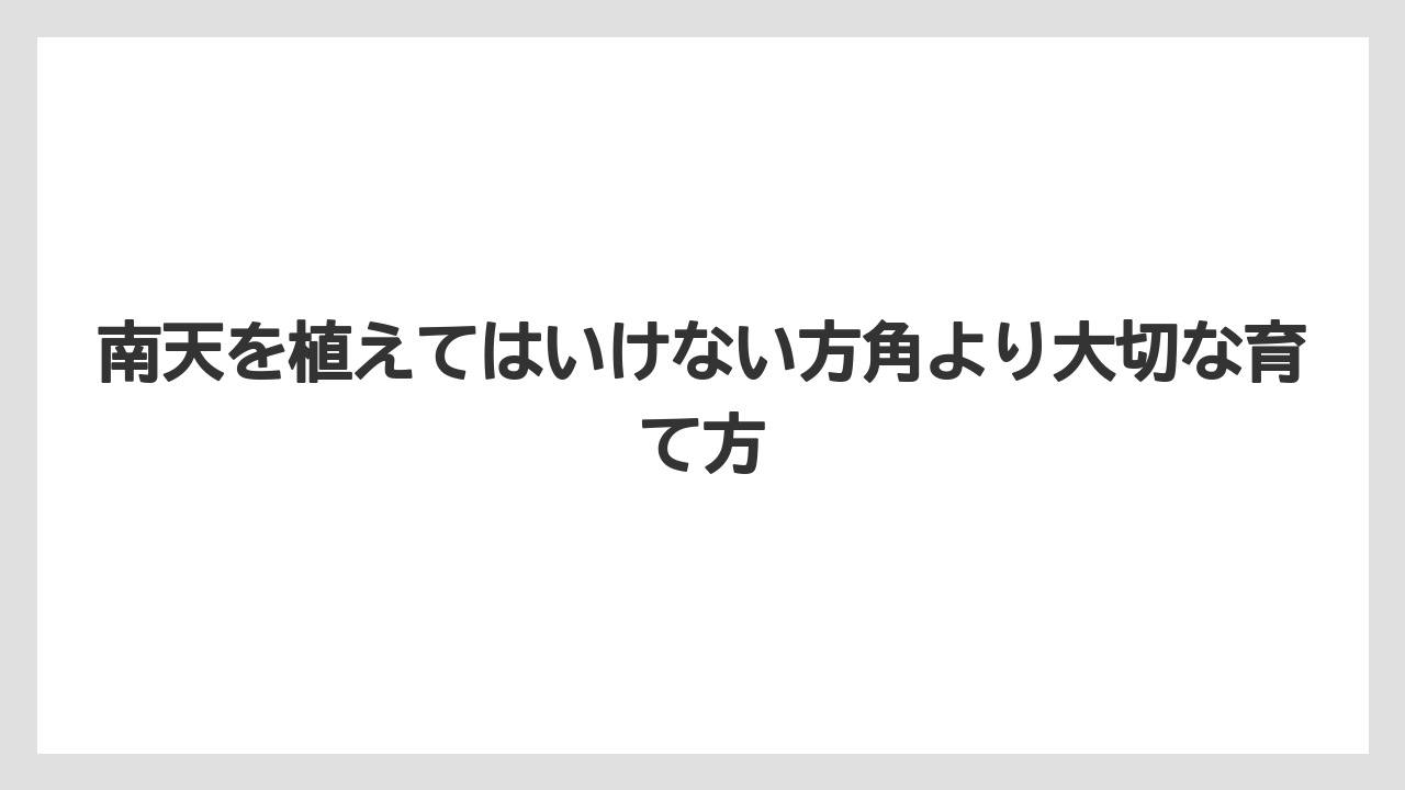 【ハイポネックス】【栽培】【農業】赤南天と白南天は色の意味を分けて考えると選びやすい