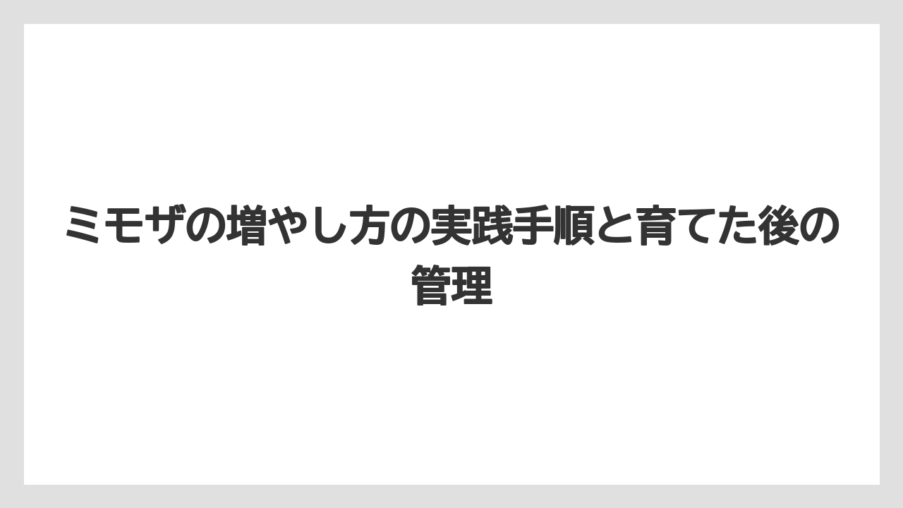 【バラ】【ミモザ】【栽培】【肥料】種まきは硬い種皮を処理してからまくこと
