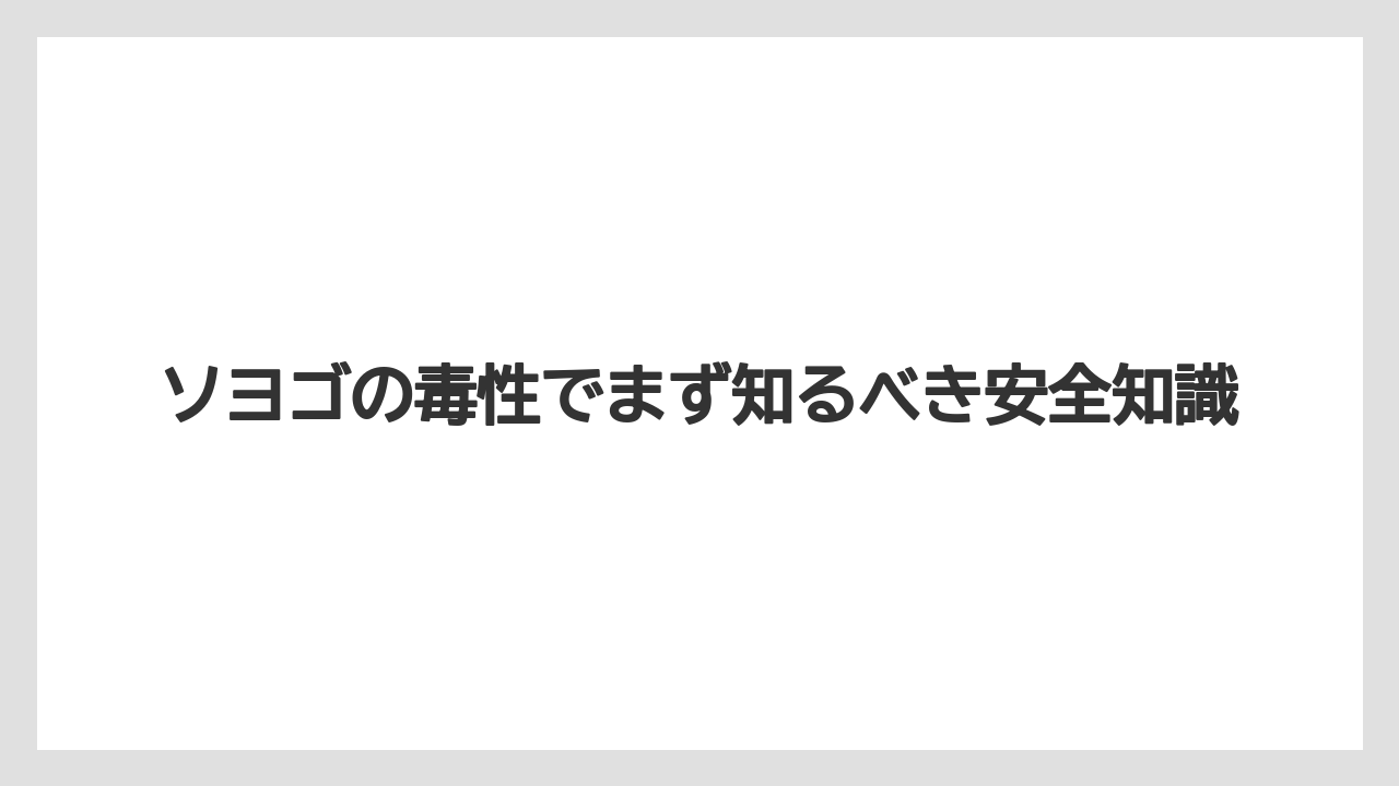 ソヨゴの毒性でまず知るべき安全知識